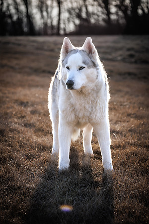 Kato's 13th Birthday Photo Shoot 3-3-2025-0239