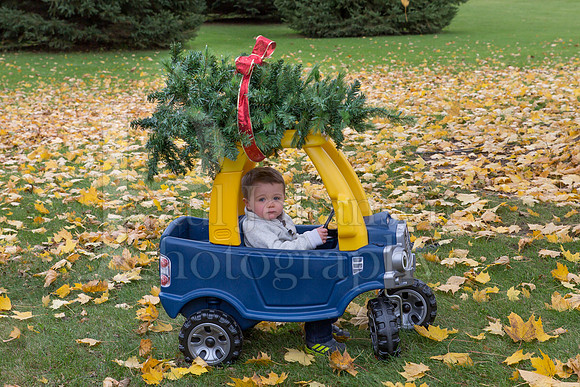 Troyer Family Portraits 11-3-2018-0025
