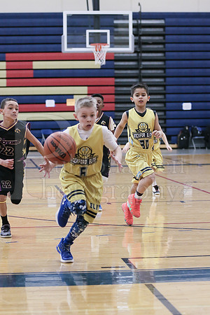 Rockford Elite Basketball vs JR Purgolders 2-24-2019-0193