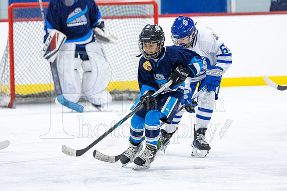 Rockford Hockey Club vs Mammoth 10-27-2024-0313
